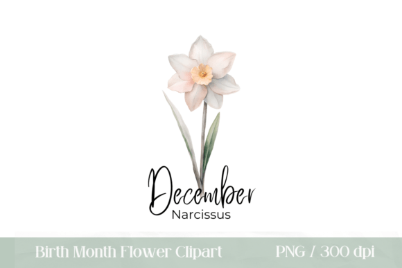 Download Birth Month Flower December Narcissus - December Collection